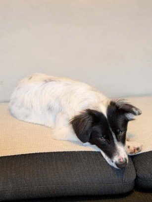 FB IMG 1763291481856 copy 307x409