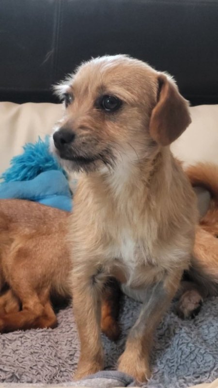 FB IMG 1763291505439 copy 461x819