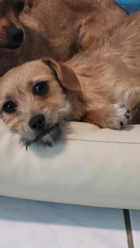 FB IMG 1763291509914 copy 461x819