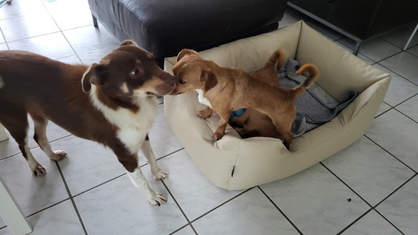 FB IMG 1763291546526 copy 819x461