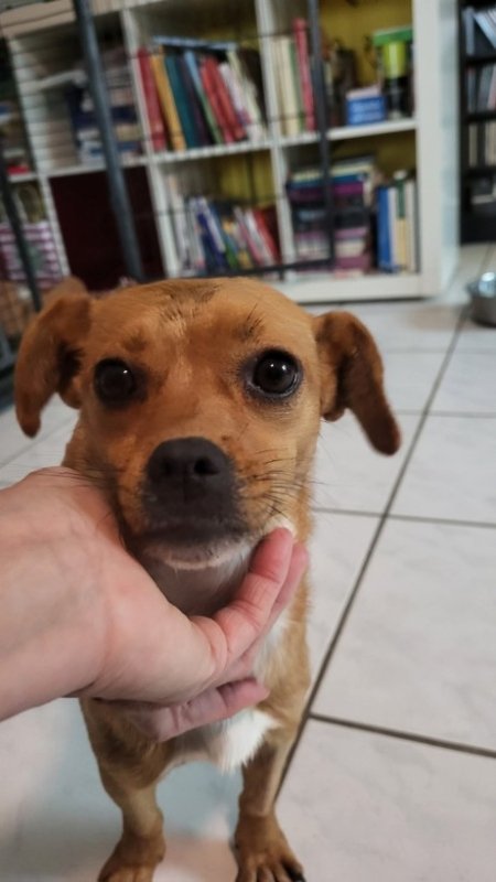 FB IMG 1763291562085 copy 461x819