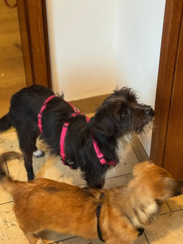 FB IMG 1763327413183 copy 768x1024