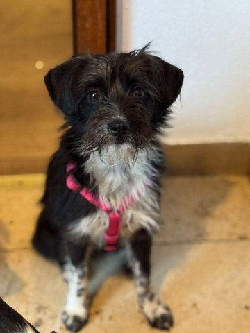 FB IMG 1763327417262 copy 360x480