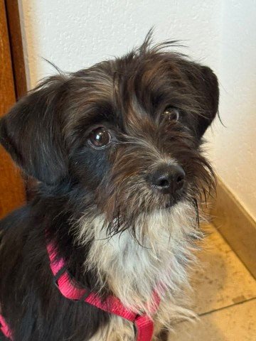 FB IMG 1763327420013 copy 360x480