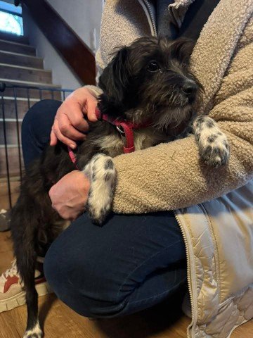 FB IMG 1763327431247 copy 360x480