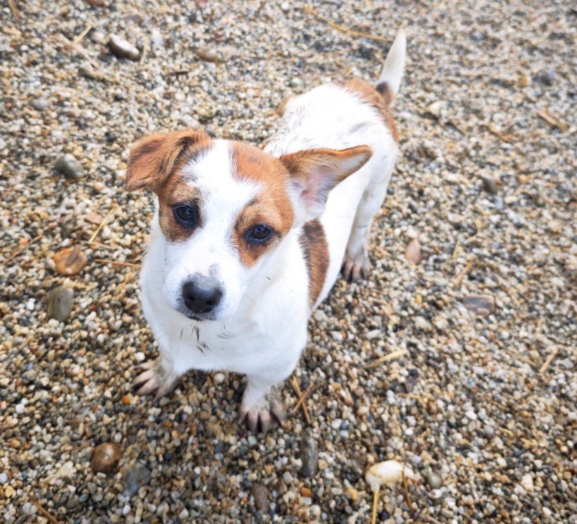 IMG 20251121 WA0327 copy 819x743