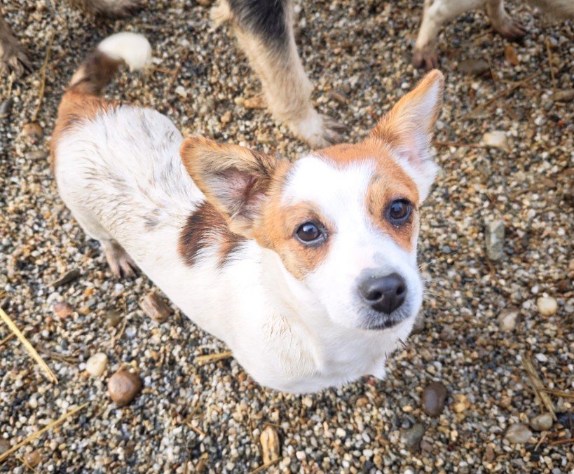 IMG 20251121 WA0332 copy 819x676