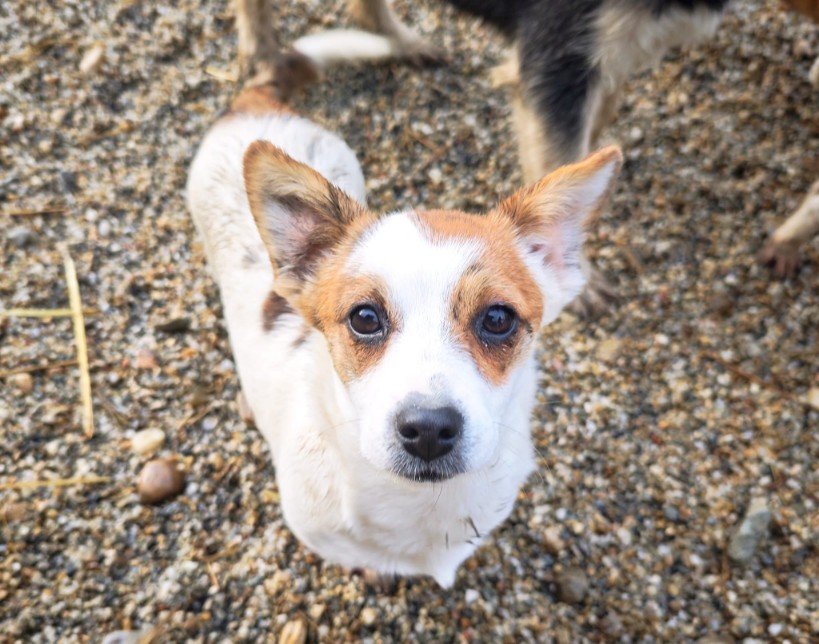 IMG 20251121 WA0333 copy 819x644