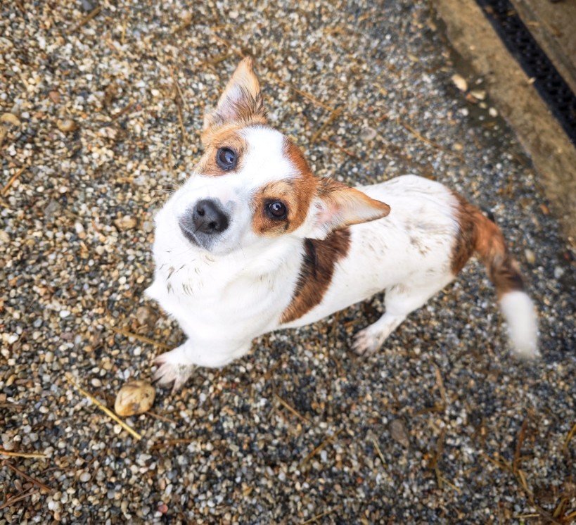 IMG 20251121 WA0339 copy 819x746