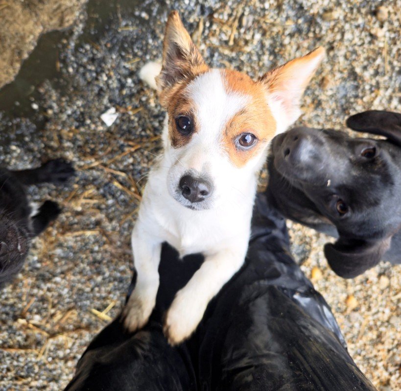 IMG 20251121 WA0341 copy 819x798