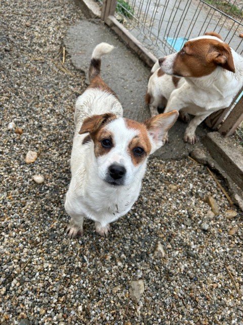 IMG 20251121 WA0345 copy 480x640