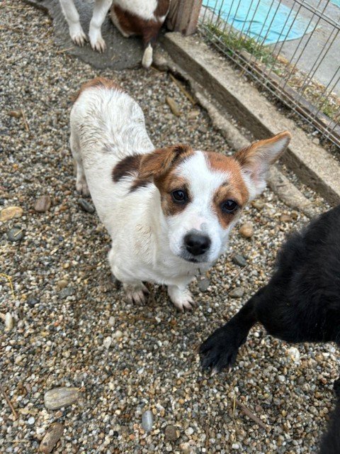 IMG 20251121 WA0347 copy 480x640