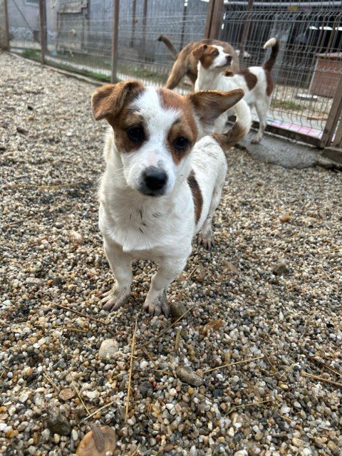 IMG 20251121 WA0350 copy 480x640