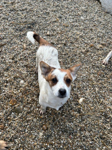 IMG 20251121 WA0352 copy 480x640