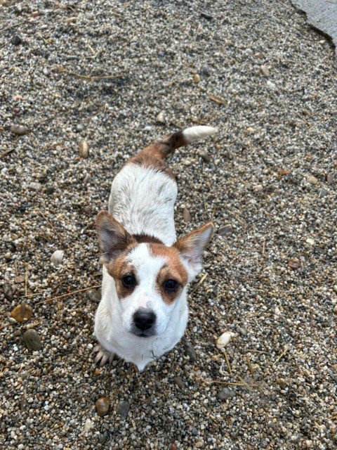 IMG 20251121 WA0354 copy 480x640