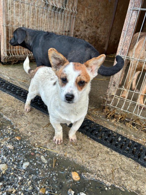 IMG 20251121 WA0355 copy 480x640