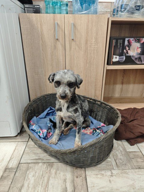 IMG 20251203 WA0092 copy 480x640