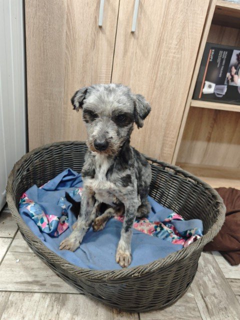 IMG 20251203 WA0093 copy 480x640