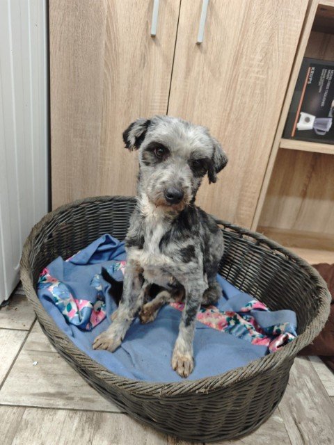 IMG 20251203 WA0094 copy 480x640