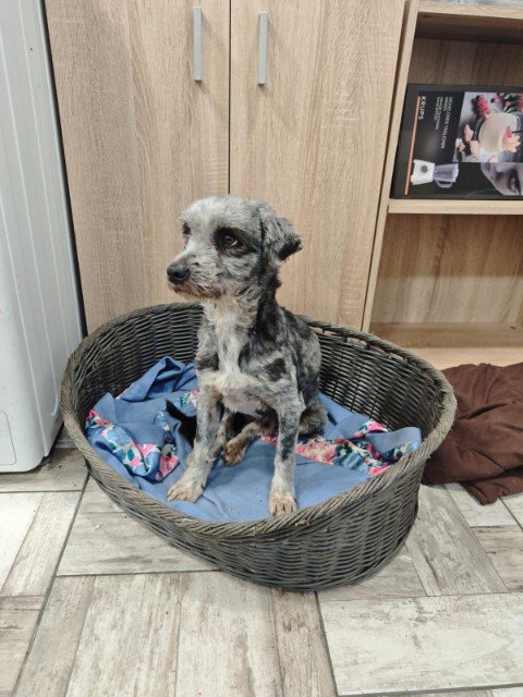 IMG 20251203 WA0095 copy 480x640