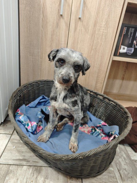 IMG 20251203 WA0096 copy 480x640