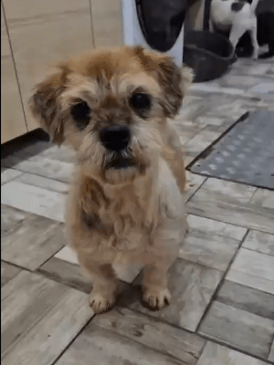 Screenshot 2025 11 09 181838