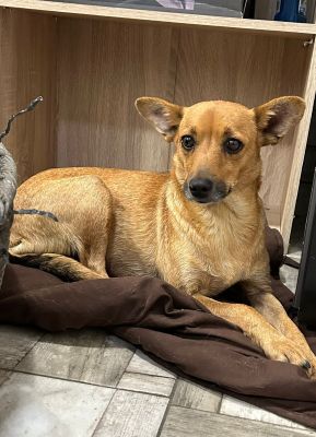 WhatsApp Bild 2025 11 19 um 16.40.21 b1c01593