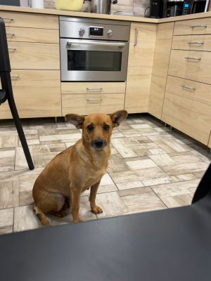 WhatsApp Bild 2025 11 19 um 16.40.23 04df36b8