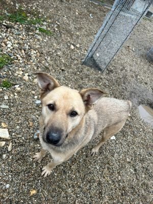 WhatsApp Bild 2025 11 20 um 13.50.03 ae66deb1