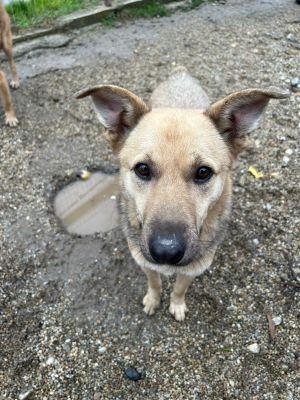 WhatsApp Bild 2025 11 20 um 13.50.04 3f6b2ccd