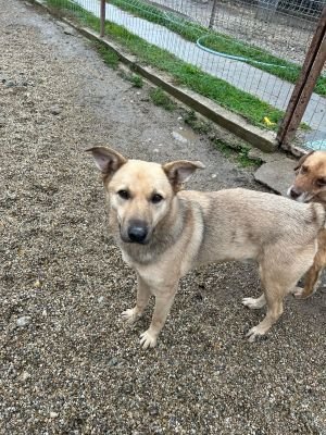 WhatsApp Bild 2025 11 20 um 13.50.10 0245e66e