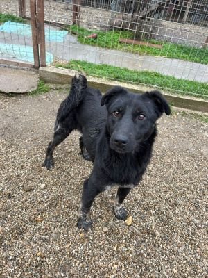 WhatsApp Bild 2025 11 20 um 13.53.42 e567e0f6