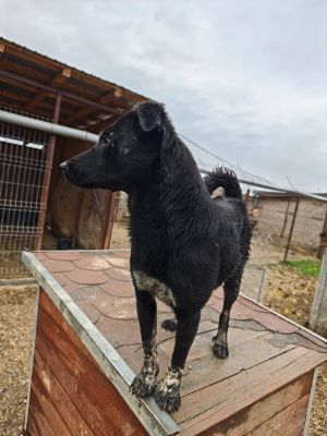 WhatsApp Bild 2025 11 20 um 13.54.49 2ccaacdc