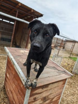 WhatsApp Bild 2025 11 20 um 13.54.51 ae9925f5