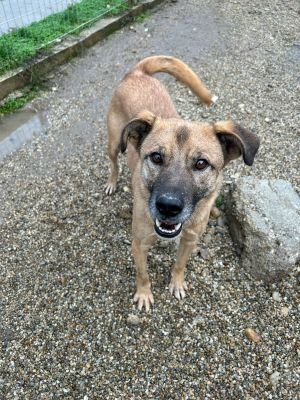 WhatsApp Bild 2025 11 20 um 13.56.16 b8cdb9af