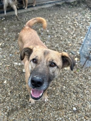 WhatsApp Bild 2025 11 20 um 13.56.21 aa3b86b6