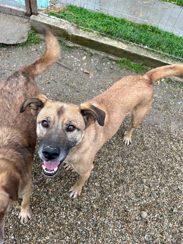 WhatsApp Bild 2025 11 20 um 13.56.22 a321588d