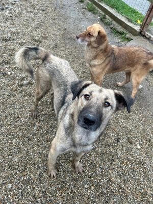 WhatsApp Bild 2025 11 20 um 14.00.31 5e064677