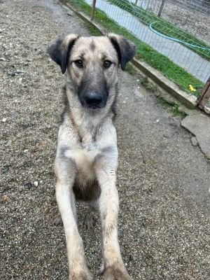 WhatsApp Bild 2025 11 20 um 14.00.33 36c0463c