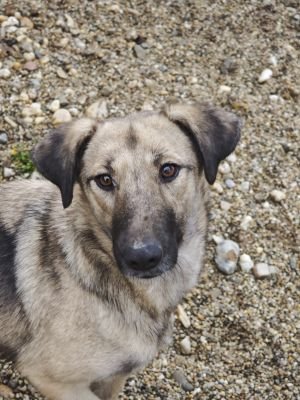 WhatsApp Bild 2025 11 20 um 14.00.57 1bd4b782