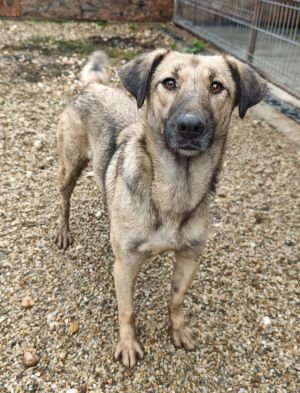 WhatsApp Bild 2025 11 20 um 14.00.59 95f30a2d