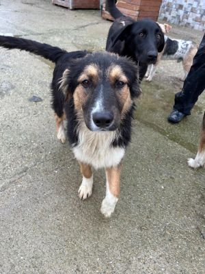 WhatsApp Bild 2025 11 20 um 14.48.02 583ebe2e