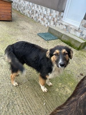 WhatsApp Bild 2025 11 20 um 14.48.03 ca7cf74c