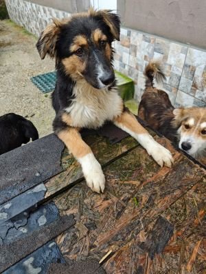 WhatsApp Bild 2025 11 20 um 14.48.27 91ee1636