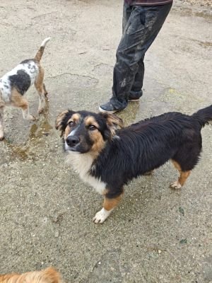 WhatsApp Bild 2025 11 20 um 14.48.28 2e2ce69a