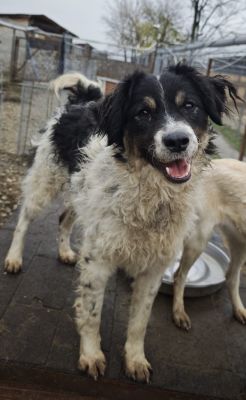 WhatsApp Bild 2025 11 20 um 18.23.01 da86ceed