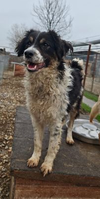 WhatsApp Bild 2025 11 20 um 18.23.02 a748f343