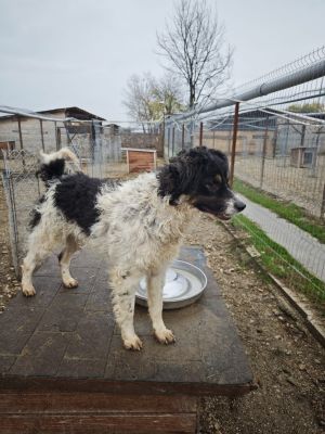 WhatsApp Bild 2025 11 20 um 18.23.04 8e7159da