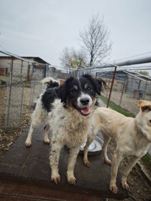 WhatsApp Bild 2025 11 20 um 18.23.04 d087bb65