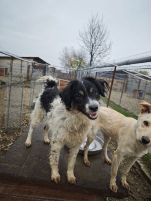 WhatsApp Bild 2025 11 20 um 18.23.05 4059e8a6